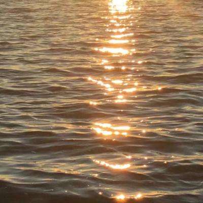 AG官方平台下载地址手机app下载